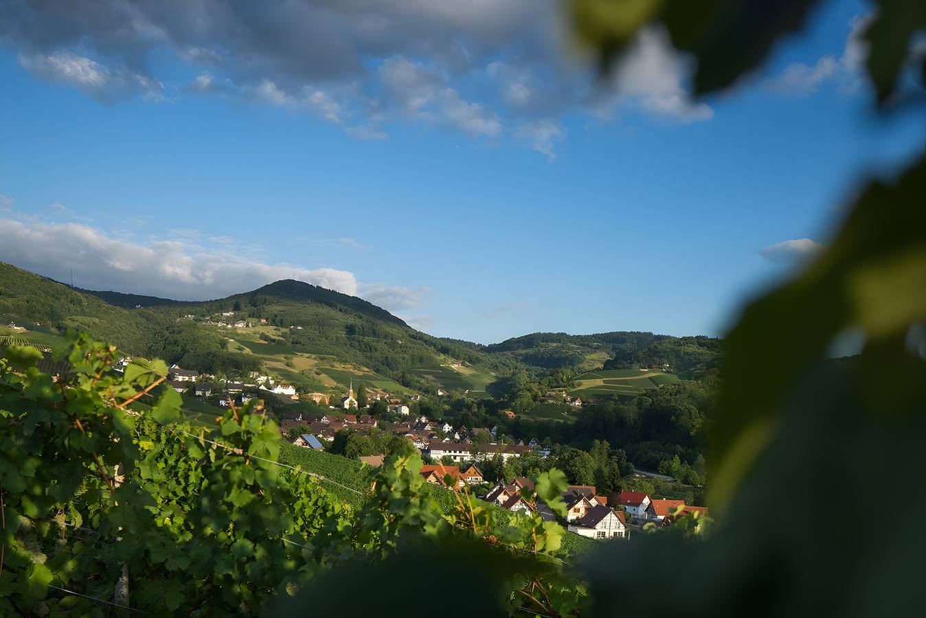 Ganze Wohnung, Apartment 'Fewo Kupferschmid' mit Bergblick, Gemeinschaftsgarten und Wlan in Sasbachwalden, Mittlerer Schwarzwald