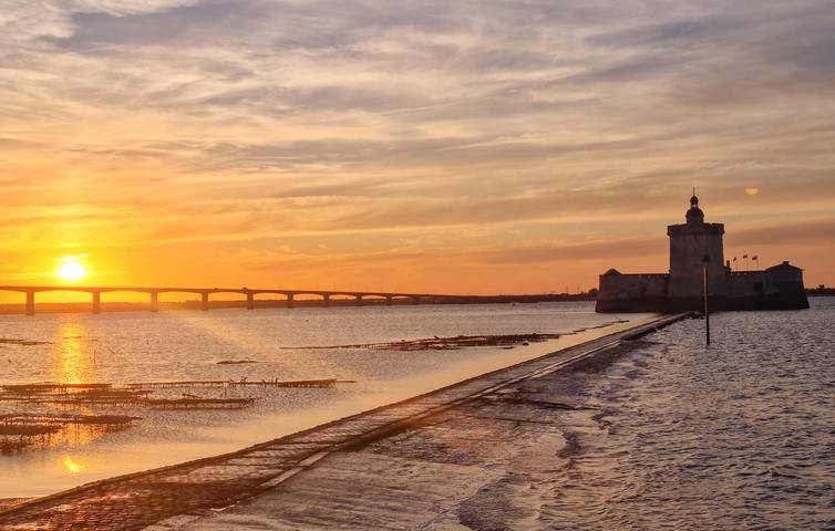 Ferienwohnung für 2 Personen, mit Terrasse und Garten in Nouvelle-Aquitaine - 3