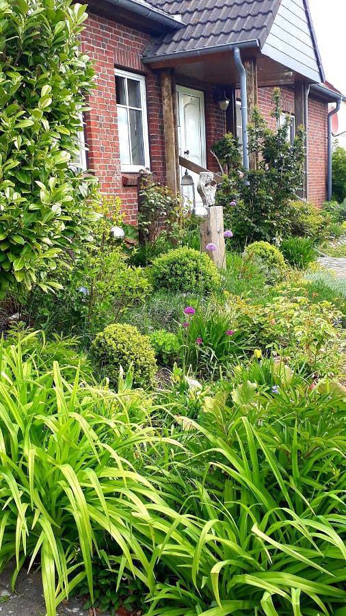 Ferienwohnung für 4 Personen, mit Garten und Seeblick in Laage - 3