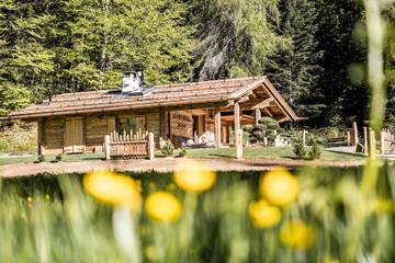 Chalet für 6 Personen in Cavareno, Nonsberggruppe, Bild 4