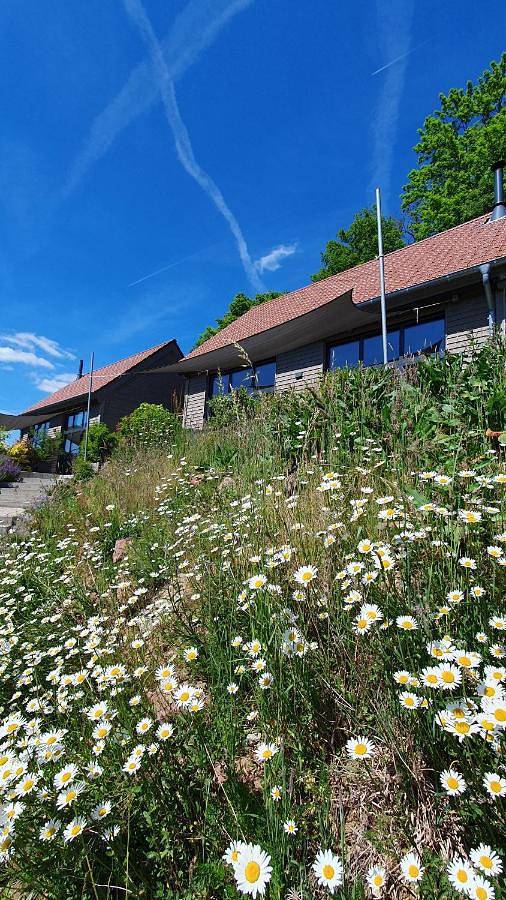 Odenwald-Lodge mit Infrarotsauna und E-Ladestation "Haus Purpur" in Reichelsheim, Odenwaldkreis