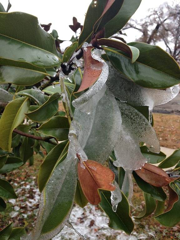 Ferienhaus für 6 Personen, mit Terrasse - 1