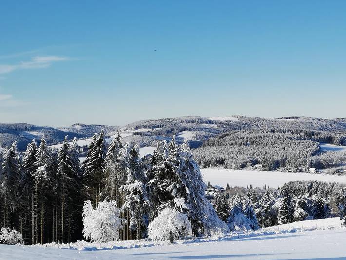 Ferienhaus für 6 Personen, mit Whirlpool und Sauna sowie Garten in Nordrhein-Westfalen - 2
