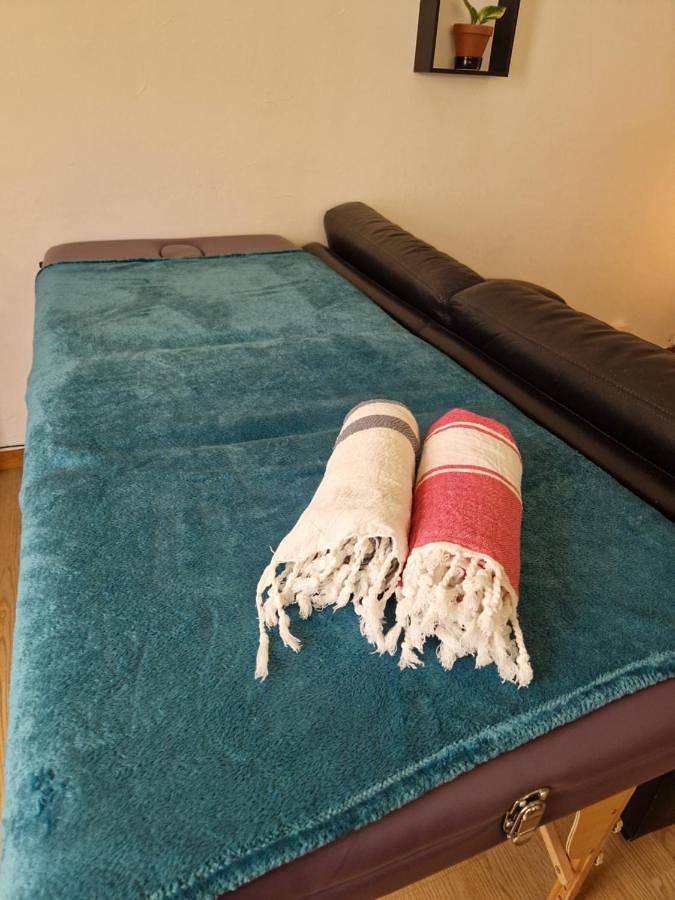 Gîte pour 2 personnes, avec jacuzzi et terrasse, animaux acceptés à Saint-Pargoire - 2