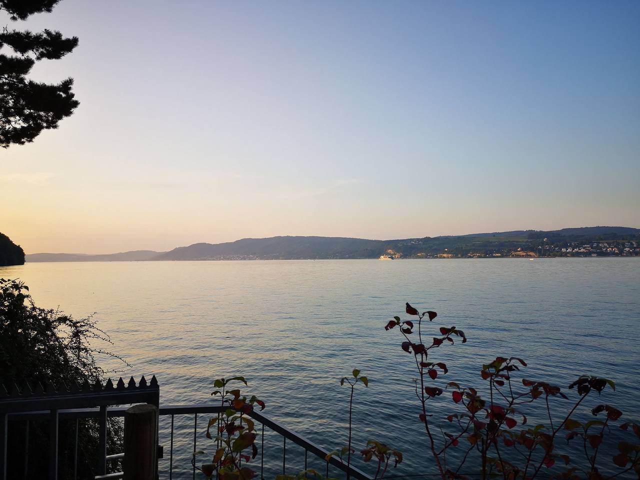 Ganze Ferienwohnung, Ferienwohnung Seeger - Ferienwohnung Seeger, 70 qm, 1 Schlafzimmer, 1 Wohn-/Schlafzimmer mit Doppelbett, überdachter Balkon, max. 4 Personen in Konstanz, Obersee (Bodensee)