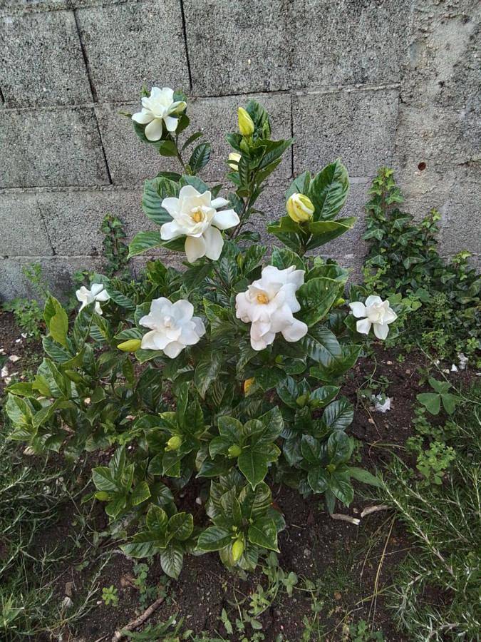 Casa rural para 2 personas, con jardín y vistas en Provincia de La Coruña - 2