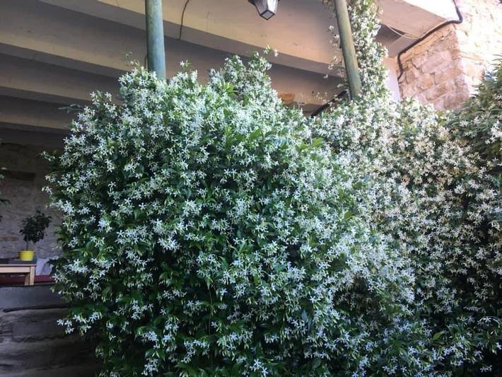 Gîte pour 4 personnes, avec vue et terrasse à Meyrannes - 4