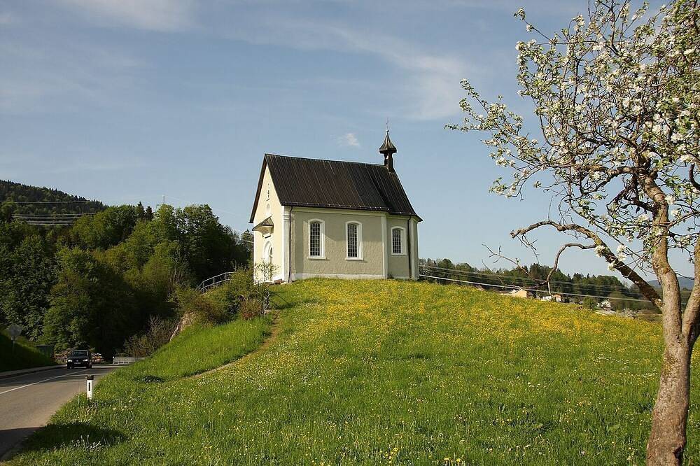 Ganze Wohnung, Gemütliches Appartement mit viel Holz und direktem Blick auf die Berge in Schwarzenberg, Bodensee-Vorarlberg