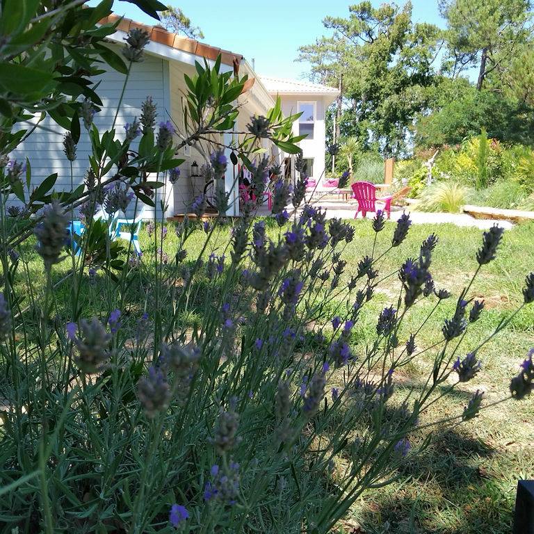 Au Jardin des Libellules - Chambre Les Embruns in Soulac-sur-Mer, Parc naturel régional du Médoc
