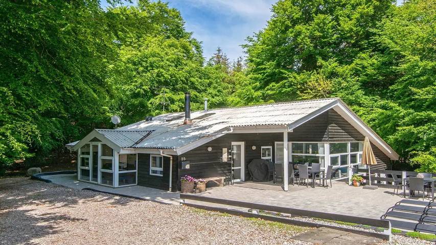 Ferieudlejning for 13 personer, med sauna og jacuzzi såvel som pool og terrasse, husdyr tilladt i Fjellerup Strand