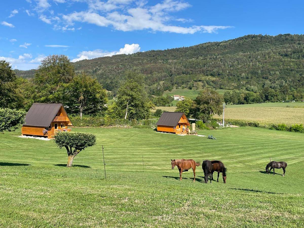 Ganze Wohnung, Agri Camp Dolomiti in Belluno, Südliche Karnische Alpen