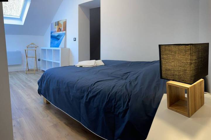 Location de vacances pour 12 personnes, avec jardin à Lille - 3