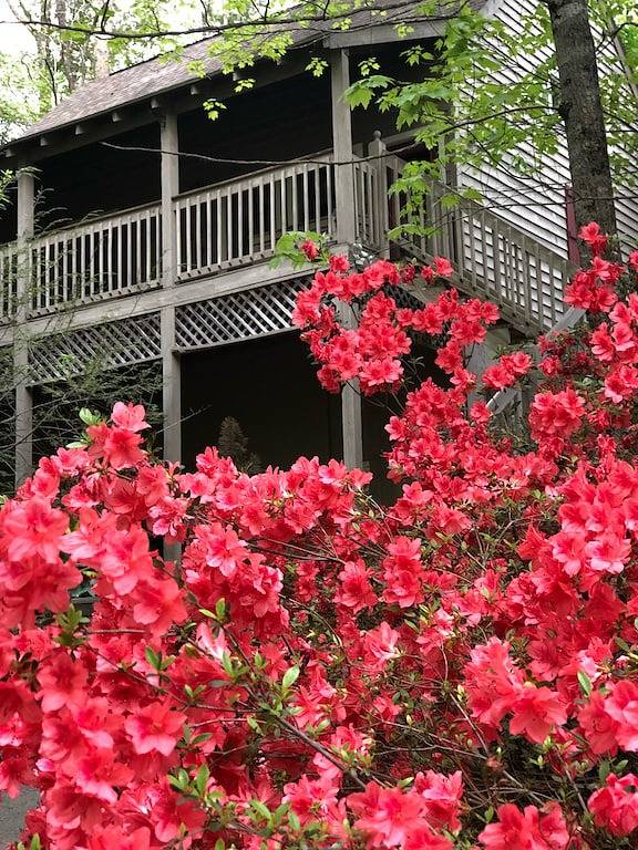 Log cabin for 6 people, with balcony and yard as well as hot tub - 1