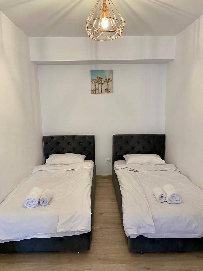 Maison d’hôte pour 3 personnes, avec terrasse et jardin, animaux acceptés en Roumanie - 2