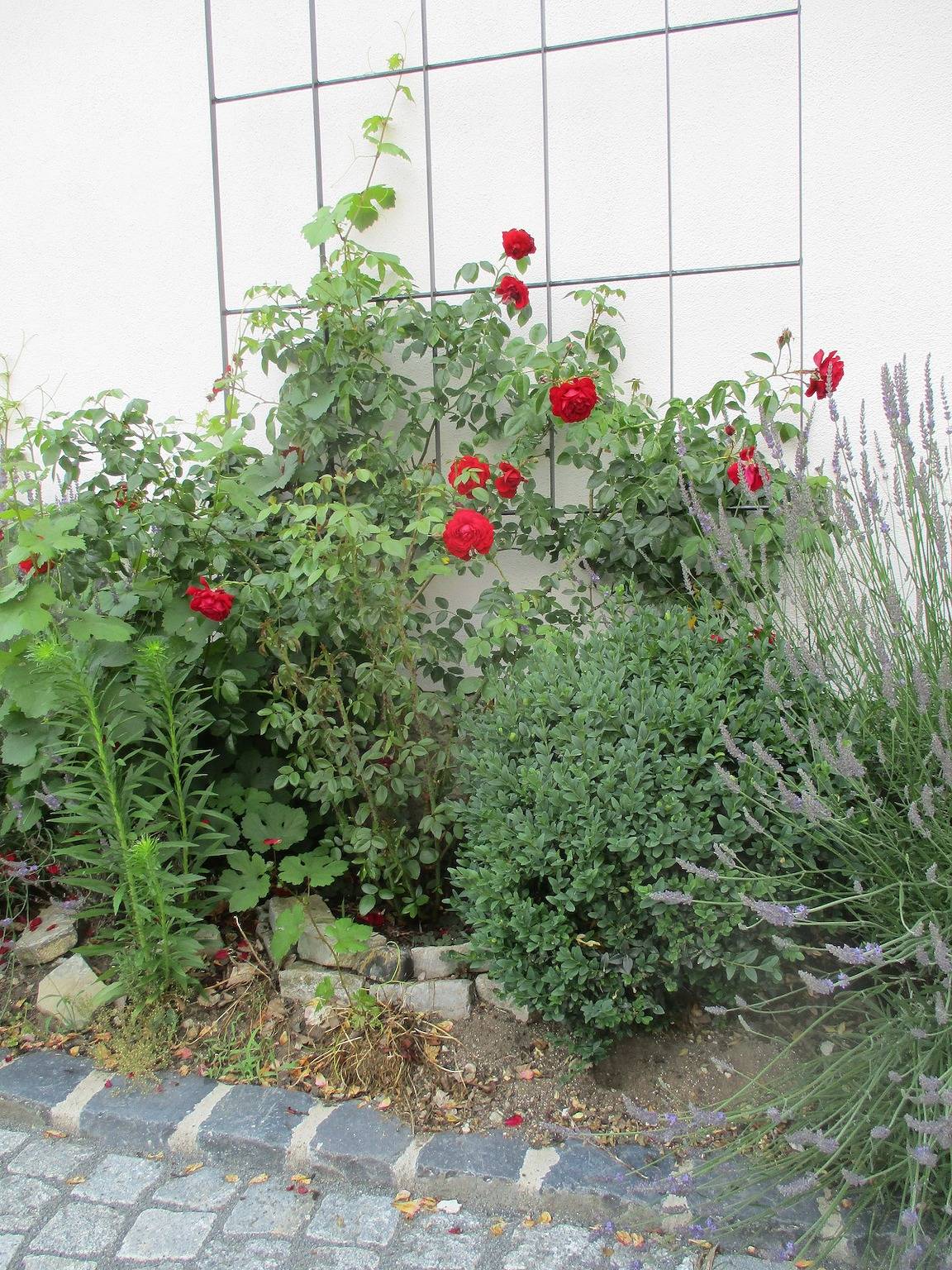 Haus Fink - Volkach - immer willkommen in Volkach, Franconian Wine Country