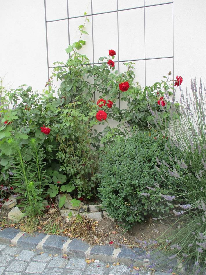 Ferienhaus für 4 Personen, mit Pool und Garten sowie Balkon in Franken - 3