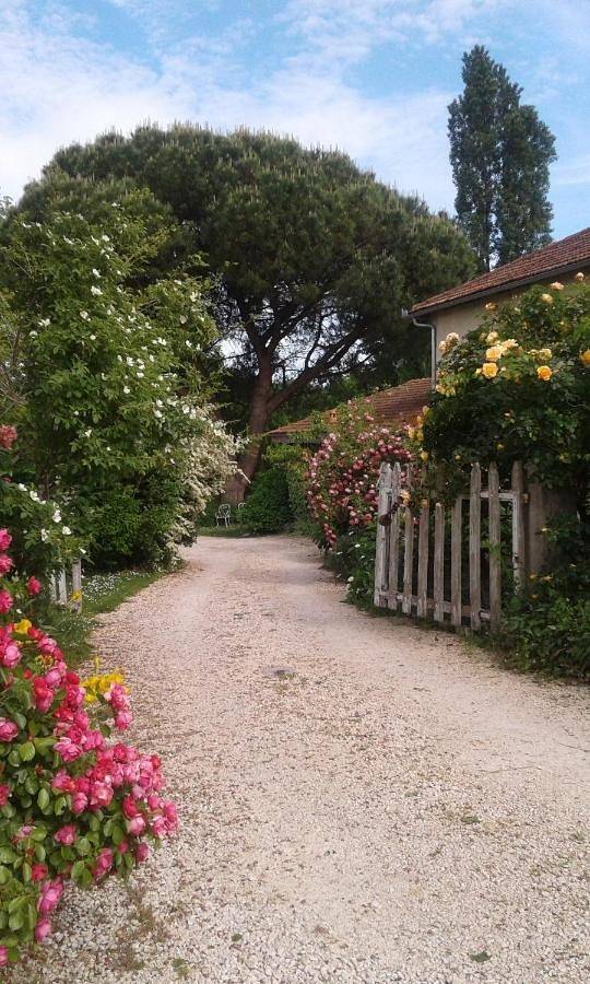 Suite with Garden View in Viozan, Gers