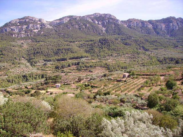 Casa rural para 3 personas, con vistas y jardín en Tierras del Ebro - 2