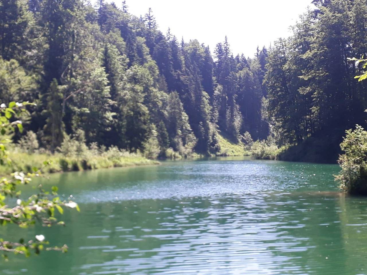 Ganze Ferienwohnung, Alpchalet Allgäu in Grünten, Rettenberg