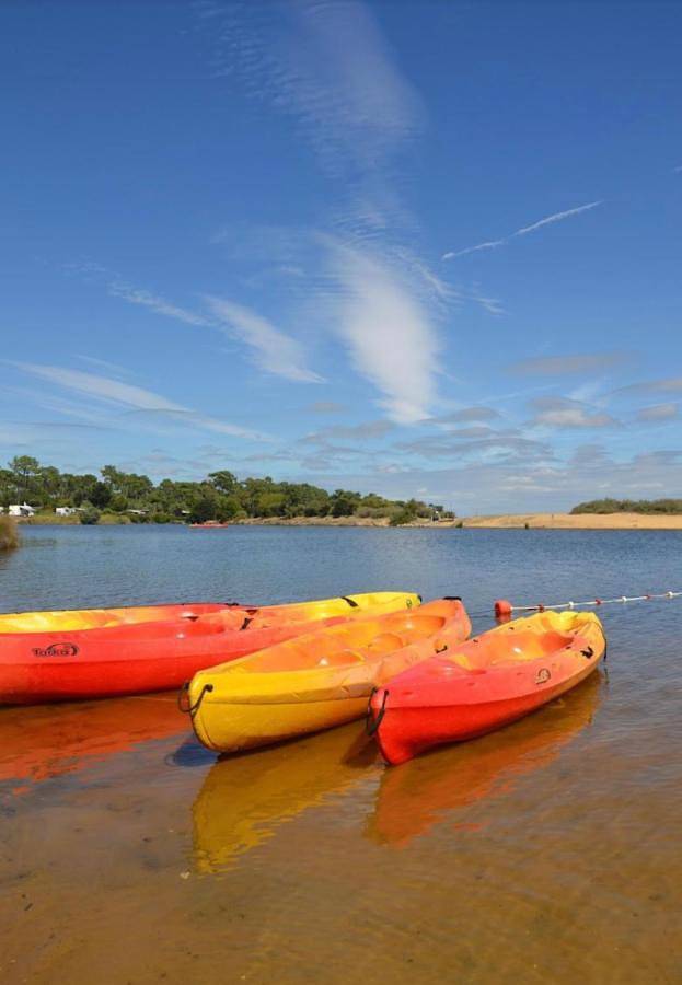 Camping pour 5 personnes, animaux acceptés au Cap Ferret - 4