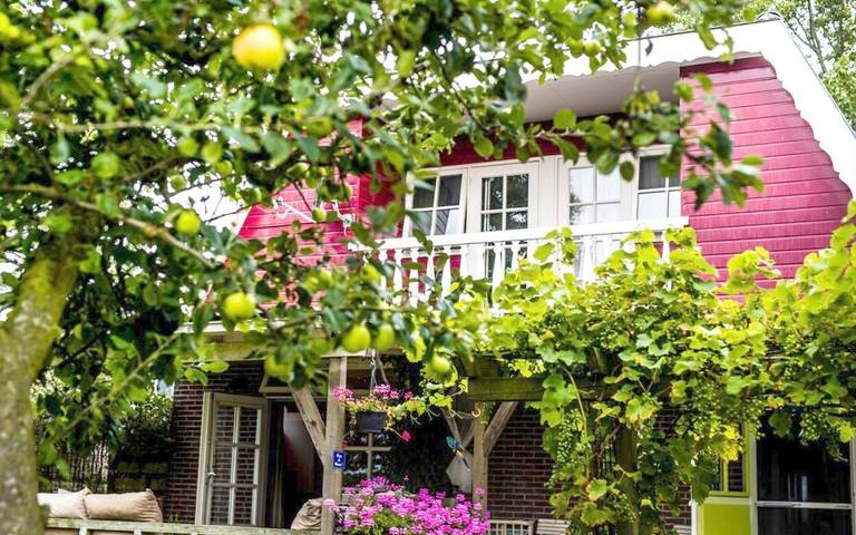 Chambre d’hôte pour 2 personnes, avec sauna ainsi que vue et jardin dans Frise - 4