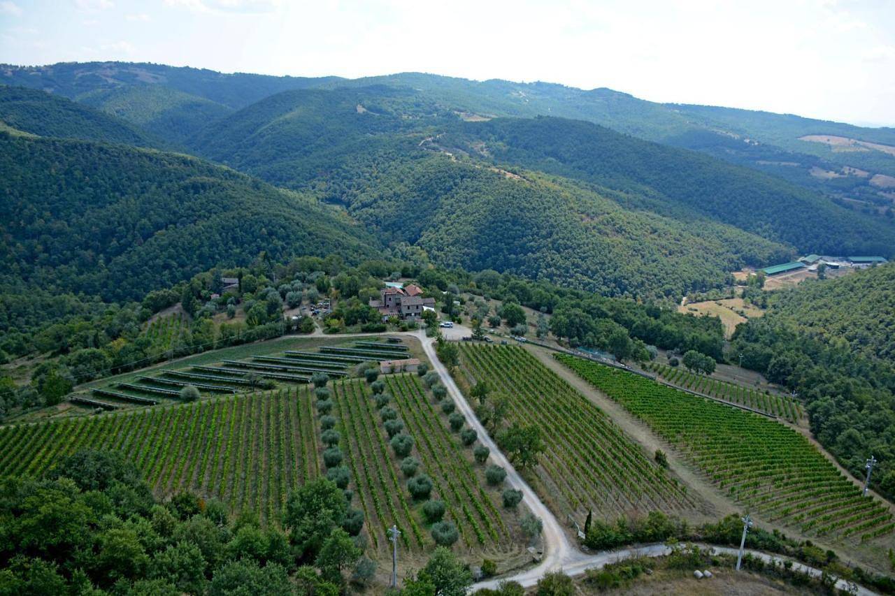 Deluxe Double Room in Umbertide, Valtiberina