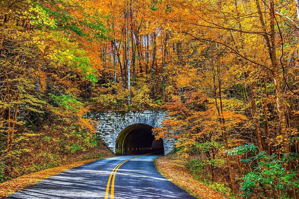 Ganze Wohnung, Spacious, chic retreat with deck & Ac - walk to dining, shops, & entertainment in Blue Ridge Parkway, Asheville