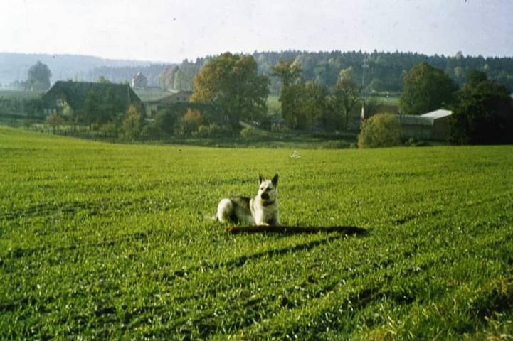 Ganze Wohnung, Ruhige Ferienwohnung auf dem Lande in Nahrendorf, Lüneburger Heide