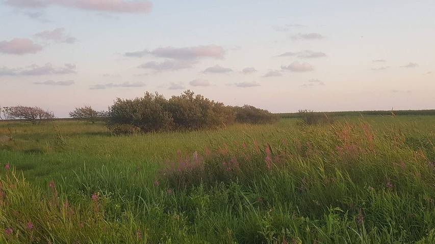 Ferienhaus für 9 Personen, mit Terrasse und Sauna sowie Whirlpool, mit Haustier in Stauning - 3