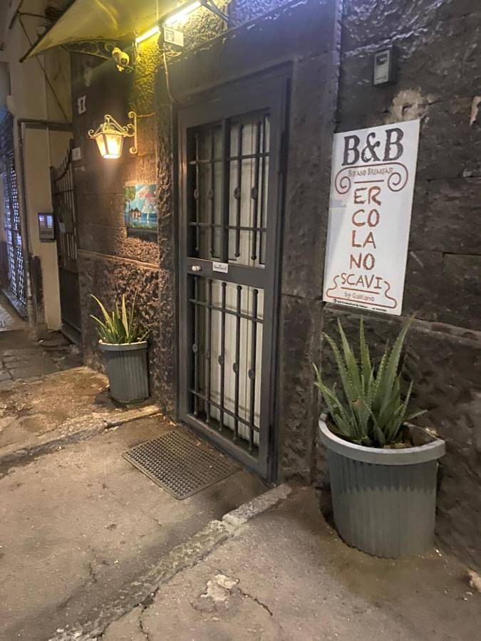 Chambre d’hôte pour 2 personnes, animaux acceptés