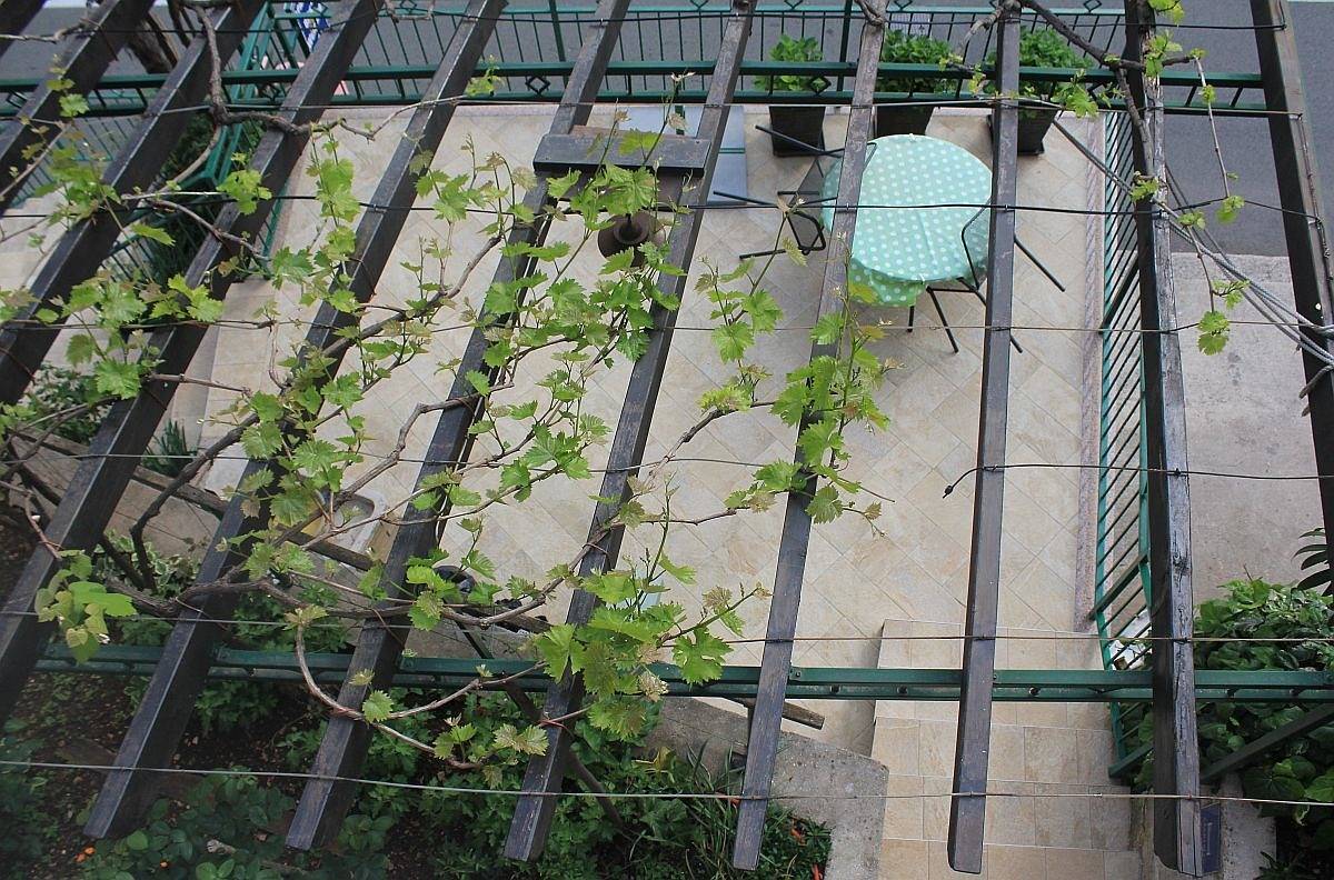 Ganze Wohnung, Studio Appartement mit Terrasse Moscenicka Draga, Opatija As-17381-a in Moscenicka Draga, Opatija Riviera