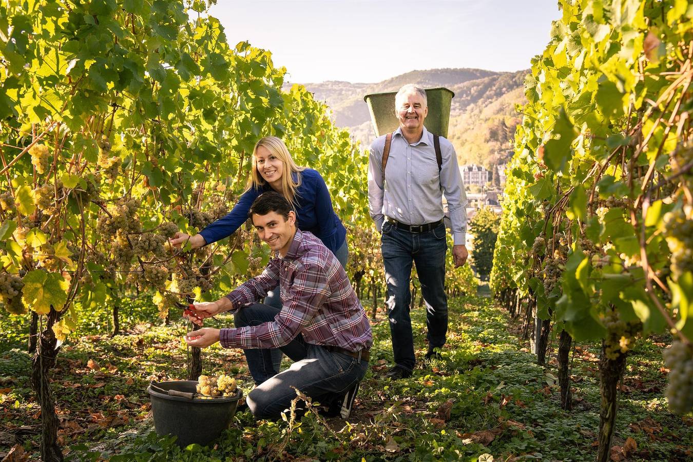 Ganze Ferienwohnung, 2-Bettwohnung in Traben-Trarbach, Bernkastel-Kues & Umgebung