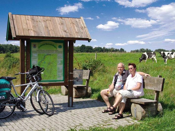 Ferienwohnung für 7 Personen, mit Garten und Terrasse, kinderfreundlich in Westoverledingen - 3