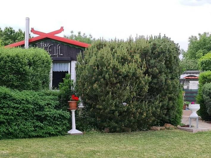 Ferienhaus für 4 Personen, mit Terrasse und Garten in Eisleben