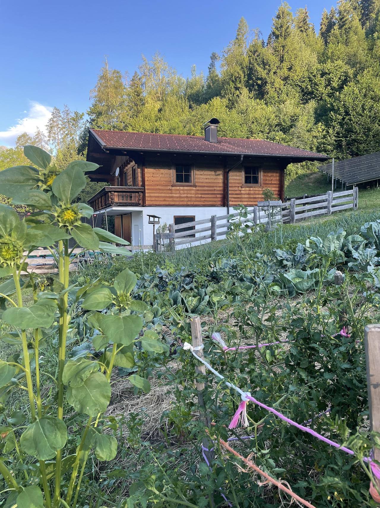 Ganze Ferienwohnung, Appartement/Fewo, Bad, Wc, 1 Schlafraum in Schobergruppe, Oberlienz