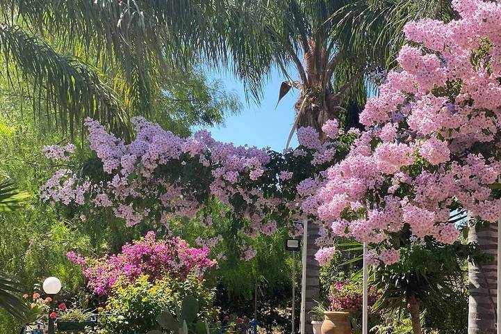 Casa vacanza per 3 persone, con giardino - 1
