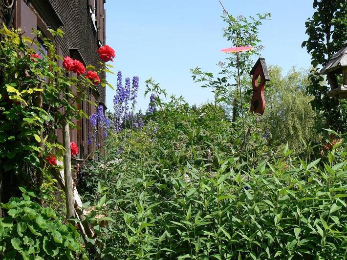 Ferienwohnung für 5 Personen, mit Garten und Ausblick sowie Sauna in Sulzberg - 4