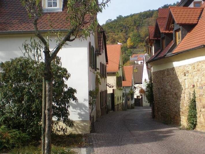 Ferienhaus für 6 Personen, mit Terrasse, mit Haustier in der Pfalz - 3