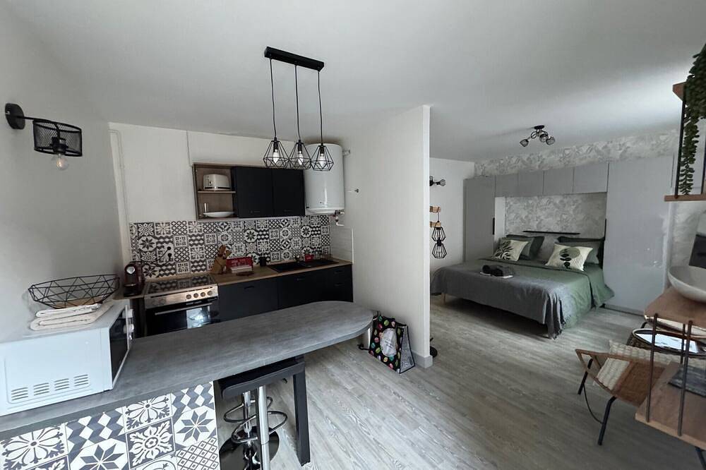 Appartement entier, Magnifique studio en Rdc au cœur de la boucle et à proximité de la citadelle in Besançon, Doubs