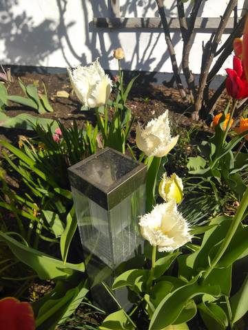 Ferienwohnung für 3 Personen in Bischofswiesen, Bayerische Alpen, Bild 4