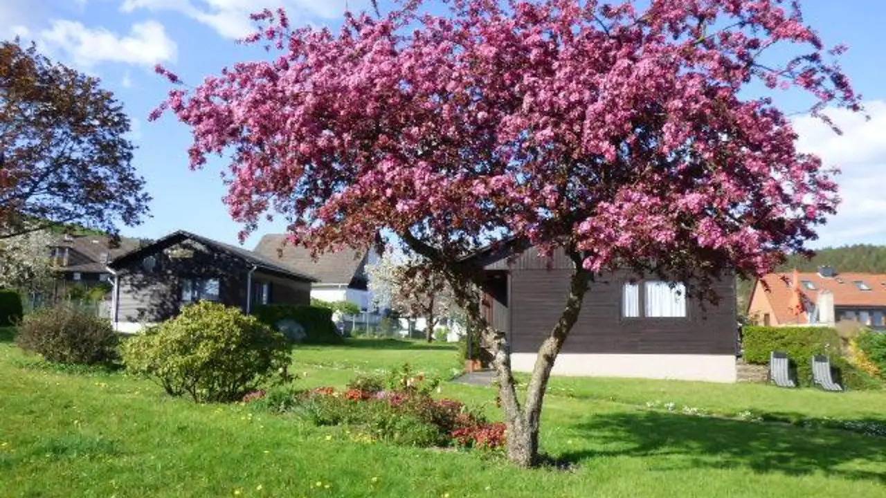 Ferienhaus für 4 Personen (60 m²) in Holenberg in Holenberg, Landkreis Holzminden