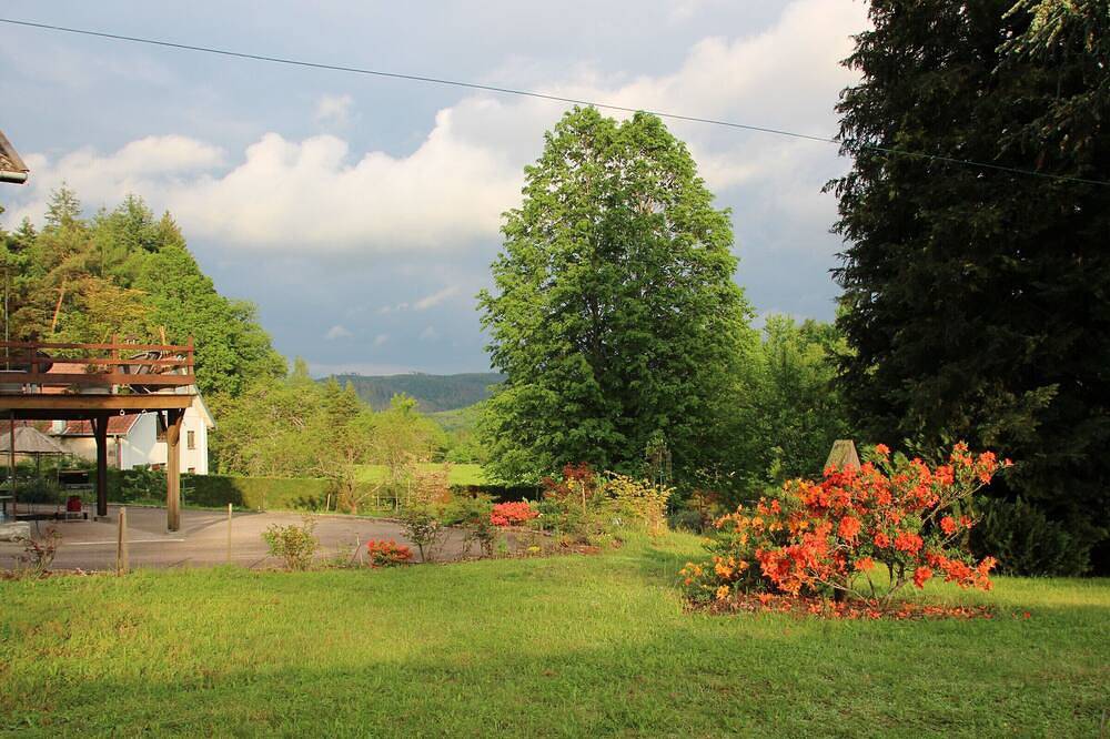 Gîte paisible en forêt avec terrasse, 4 personnes in La Bourgonce, Saint-Dié-des-Vosges