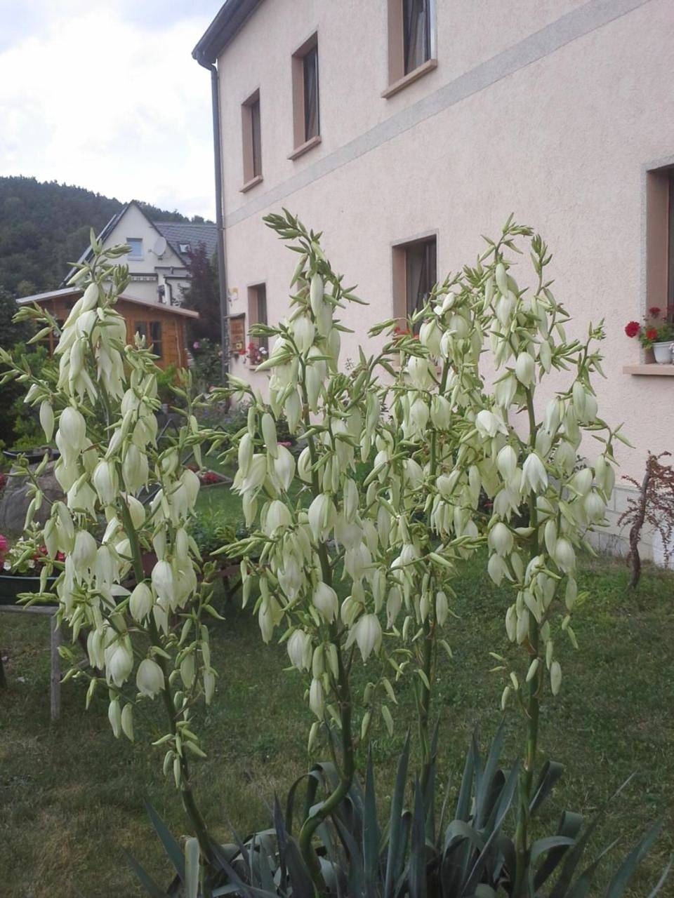 Ganze Wohnung, Ferienwohnung Büchsenhof in Porschdorf, Bad Schandau