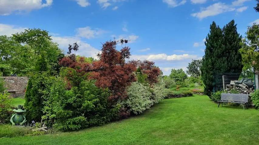 Ferienwohnung für 4 Personen, mit Terrasse und Garten in Lübben - 4