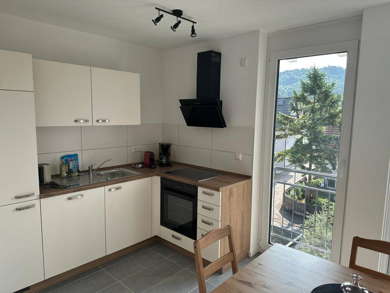 Ganze Wohnung, Apartment 'Ferienwohnung Seescheune' mit Seeblick und Wlan in Bodman-Ludwigshafen, Obersee (Bodensee)