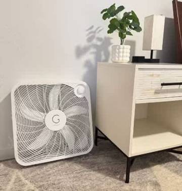 Ferienwohnung für 4 Personen in St. Petersburg (Florida), Pinellas County, Bild 3