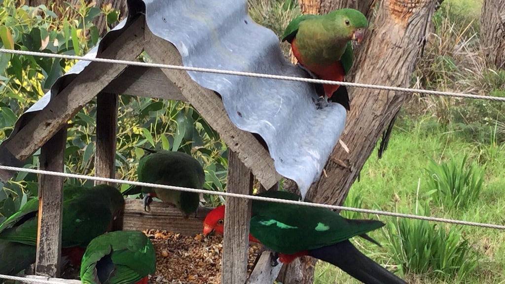 Treetops Terrasse 10 @ C-Air - Skenes Creek in Skenes Creek, Colac Otway Shire