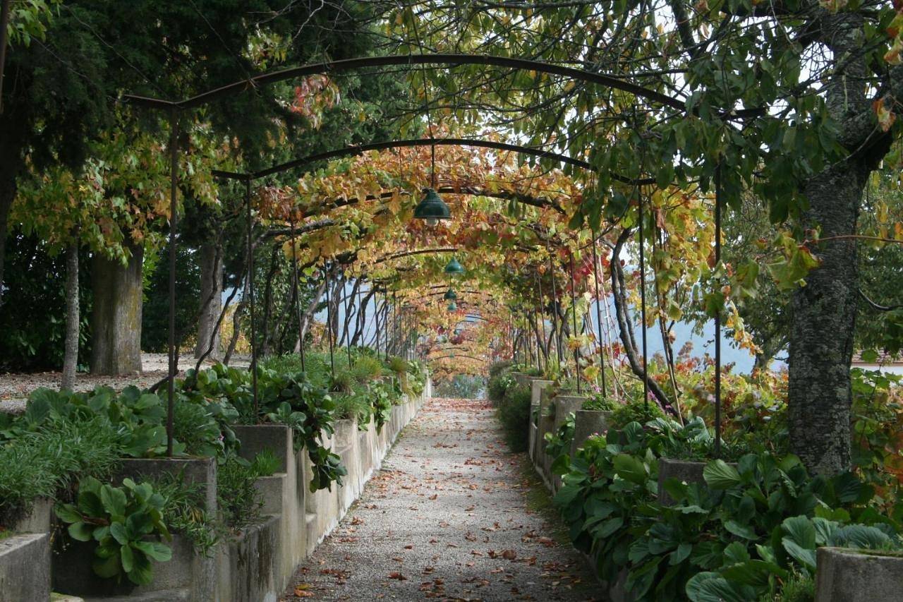 Quinta da Cumieira in Serra do Marão, Vila Real (Cidade)