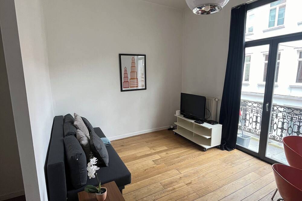 Entire apartment, Appartement Confortable 1 ch au Coeur de Bruxelles in Brussels, Brussels region