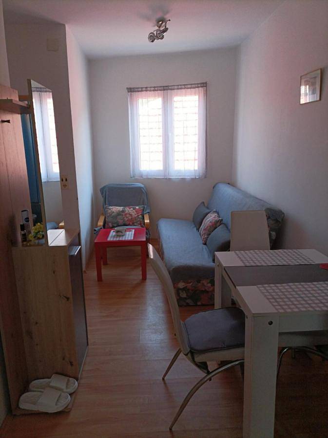 Gîte pour 2 personnes, avec terrasse et vue, animaux acceptés dans Kursumlija - 4